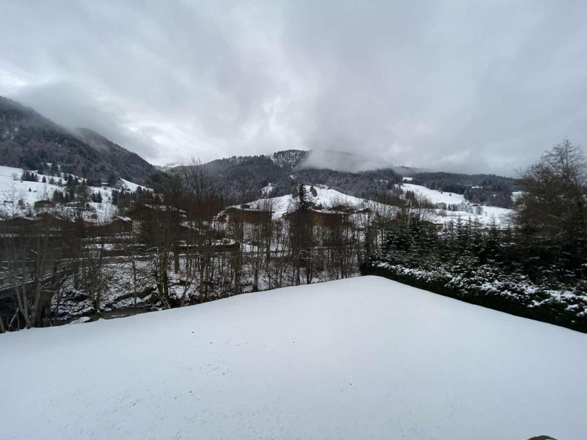 Studio Cabine A Praz-Sur-Arly - 4 Pers, Parking, Proche Centre Et Pistes - Fr-1-603-32 Εξωτερικό φωτογραφία