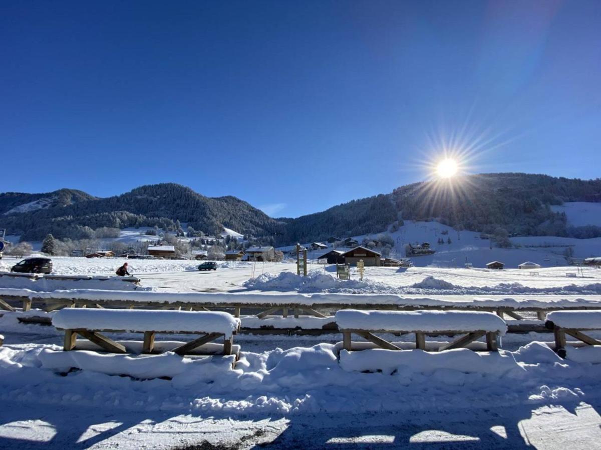Studio Cabine A Praz-Sur-Arly - 4 Pers, Parking, Proche Centre Et Pistes - Fr-1-603-32 Εξωτερικό φωτογραφία